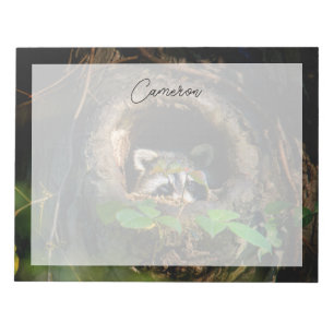 Forests Racoon Peeking Notepad