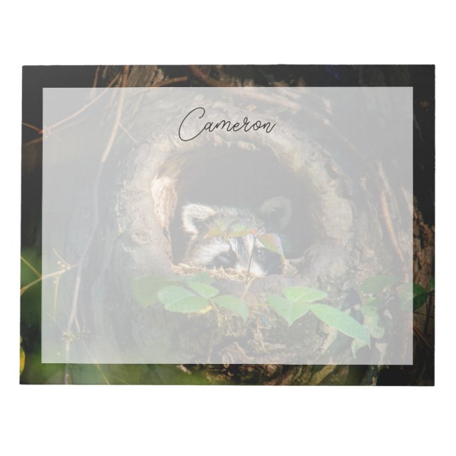 Forests | Racoon Peeking Notepad (Front)