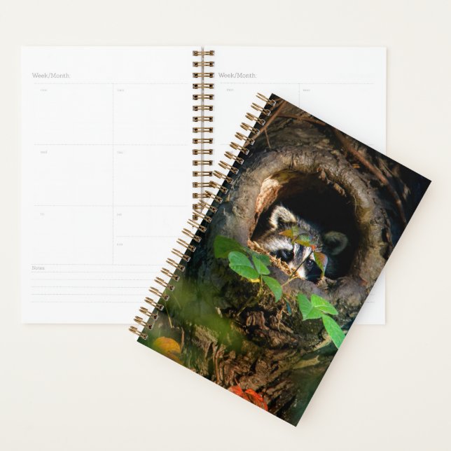 Forests | Racoon Peeking Planner (Display)