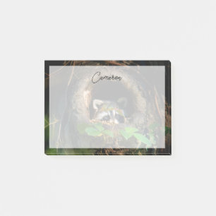 Forests Racoon Peeking Post-it Notes