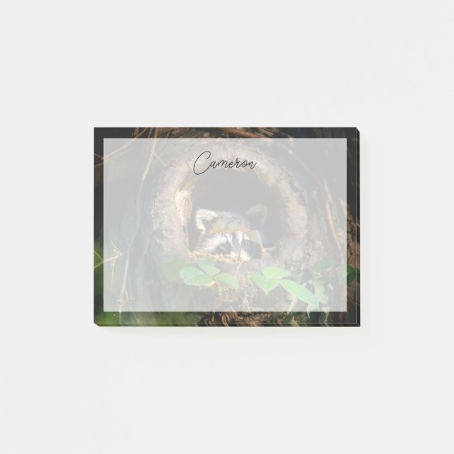 Forests | Racoon Peeking Post-it Notes (Front)