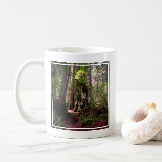 Forests | Redwood Forest California Coffee Mug (With Donut)