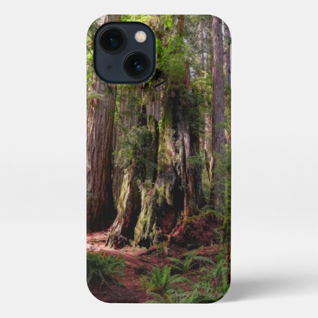 Forests | Redwood Forest California iPhone Case (Back)