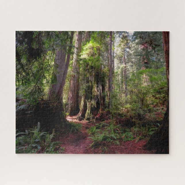 Forests | Redwood Forest California Jigsaw Puzzle (Horizontal)