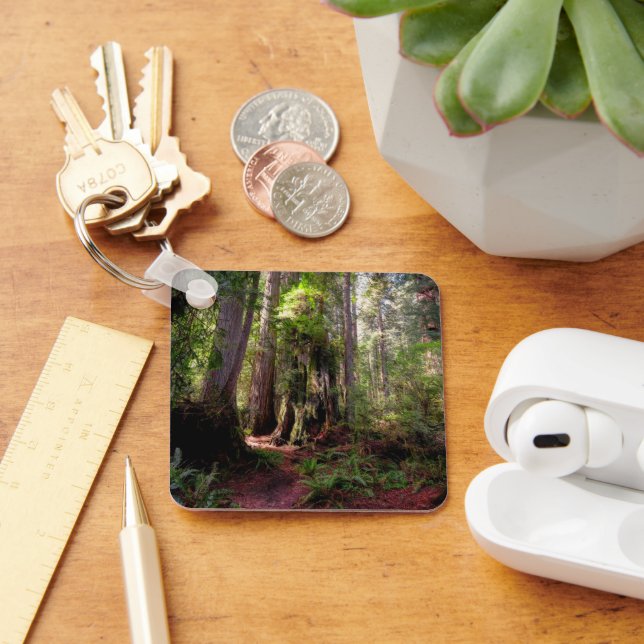 Forests | Redwood Forest California Key Ring (Desk)