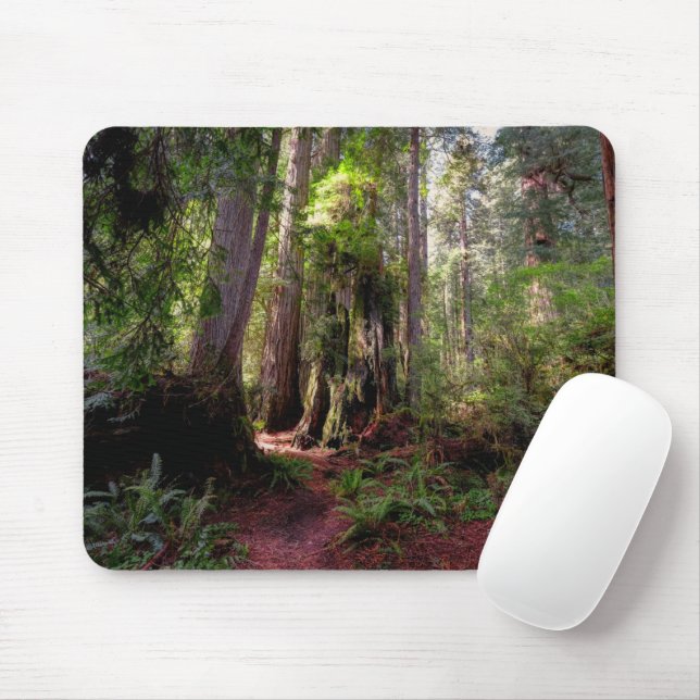 Forests | Redwood Forest California Mouse Mat (With Mouse)