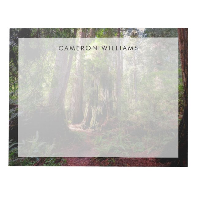 Forests | Redwood Forest California Notepad (Front)