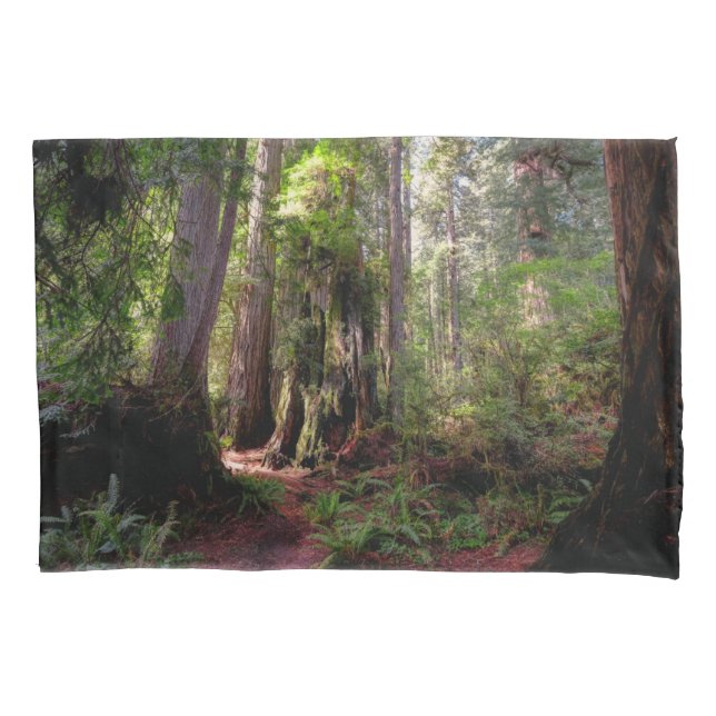 Forests | Redwood Forest California Pillowcase (Front)