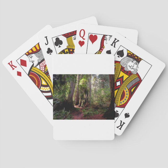 Forests | Redwood Forest California Playing Cards (Back)