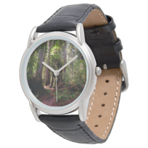 Forests   Redwood Forest California Watch