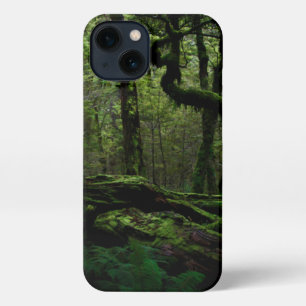 Forests   Routeburn Track Fiordland National Park iPhone 13 Case