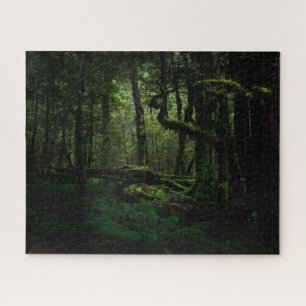 Forests   Routeburn Track Fiordland National Park Jigsaw Puzzle
