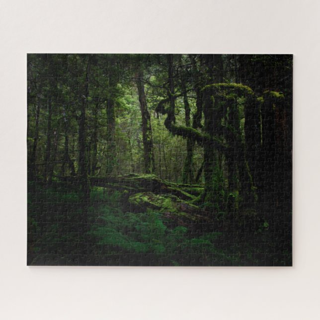 Forests | Routeburn Track Fiordland National Park Jigsaw Puzzle (Horizontal)