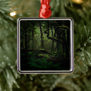 Forests Routeburn Track Fiordland National Park Metal Tree Decoration