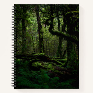 Forests Routeburn Track Fiordland National Park Notebook
