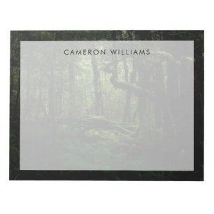 Forests Routeburn Track Fiordland National Park Notepad