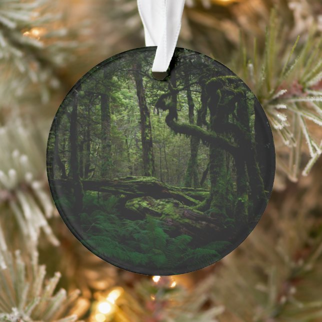 Forests | Routeburn Track Fiordland National Park Ornament (Tree)