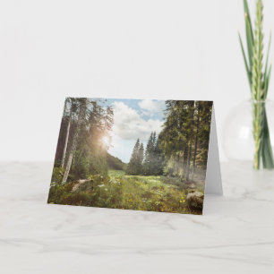 Forests   Sun Peeking Thru Card