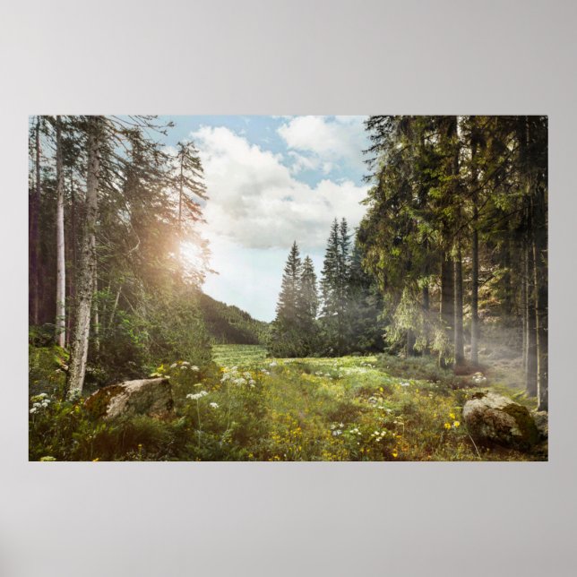 Forests | Sun Peeking Thru Poster (Front)