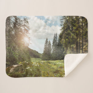 Forests Sun Peeking Thru Sherpa Blanket