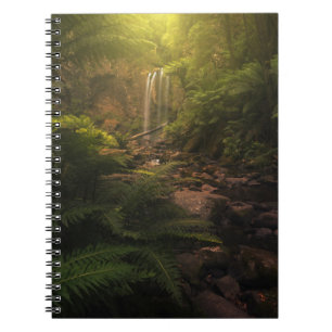 Forests Sunlight Highlights Waterfall Notebook
