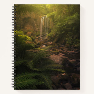 Forests Sunlight Highlights Waterfall Notebook
