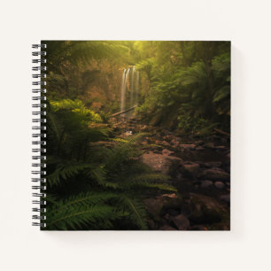 Forests Sunlight Highlights Waterfall Notebook