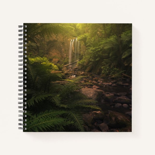 Forests | Sunlight Highlights Waterfall Notebook (Front)