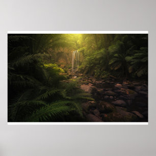 Forests   Sunlight Highlights Waterfall Poster