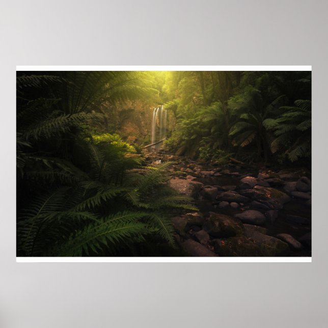 Forests | Sunlight Highlights Waterfall Poster (Front)