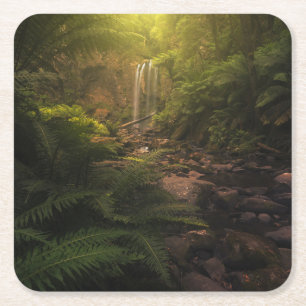 Forests Sunlight Highlights Waterfall Square Paper Coaster