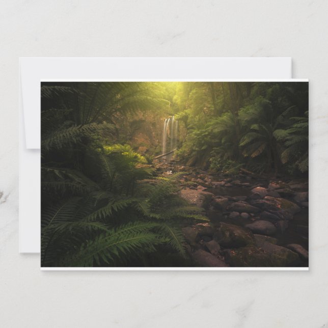 Forests | Sunlight Highlights Waterfall Thank You Card (Front)