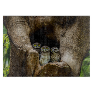 Forests Three Owls Looking Cutting Board