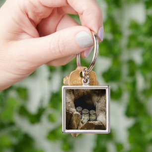 Forests Three Owls Looking Key Ring