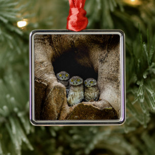 Forests   Three Owls Looking Metal Tree Decoration