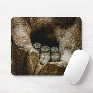Forests Three Owls Looking Mouse Mat