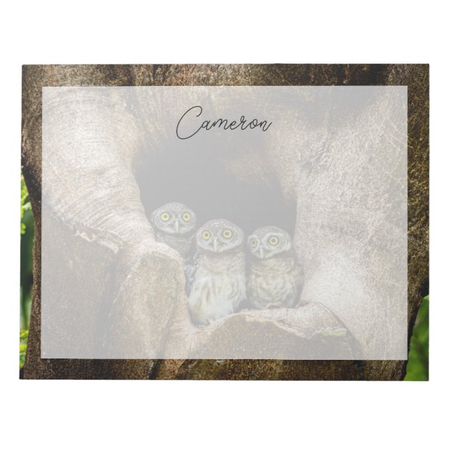 Forests | Three Owls Looking Notepad (Front)