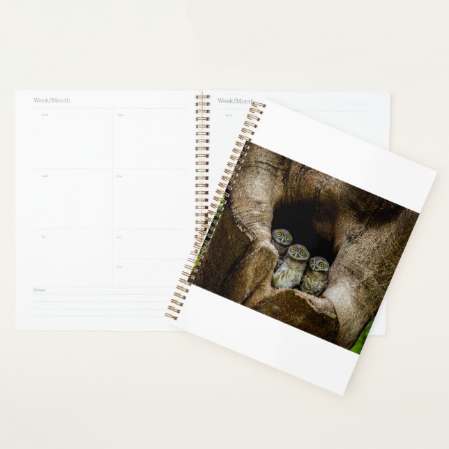 Forests | Three Owls Looking Planner (Display)