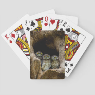 Forests Three Owls Looking Playing Cards