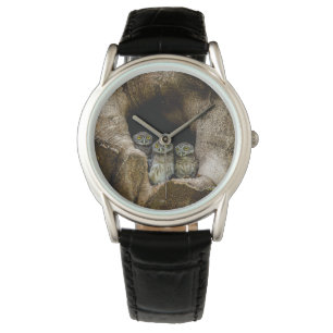 Forests   Three Owls Looking Watch