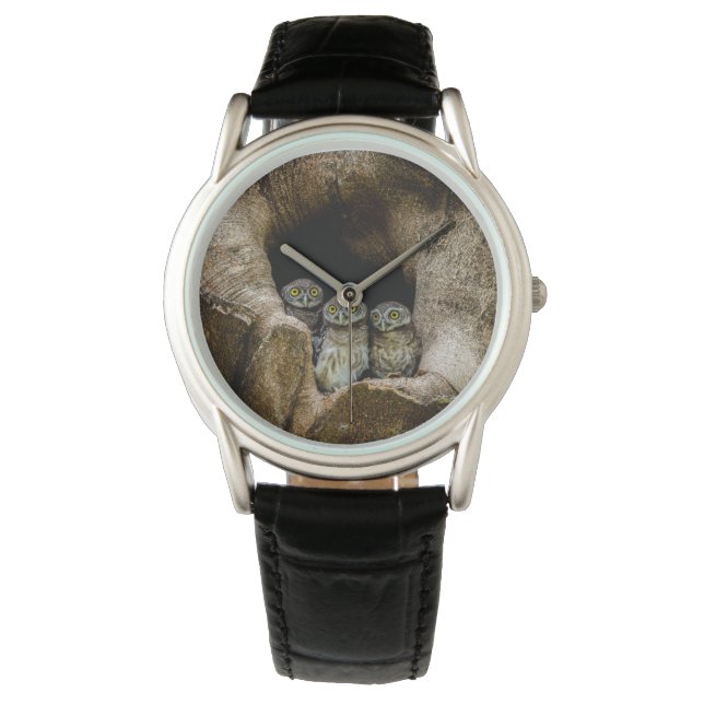 Forests | Three Owls Looking Watch (Front)