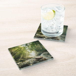 Forests   Tropical Jungle Forest Glass Coaster