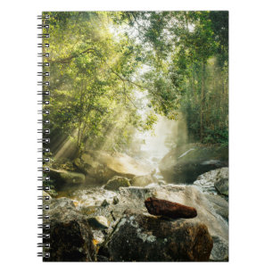 Forests   Tropical Jungle Forest Notebook