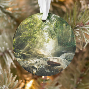 Forests   Tropical Jungle Forest Ornament