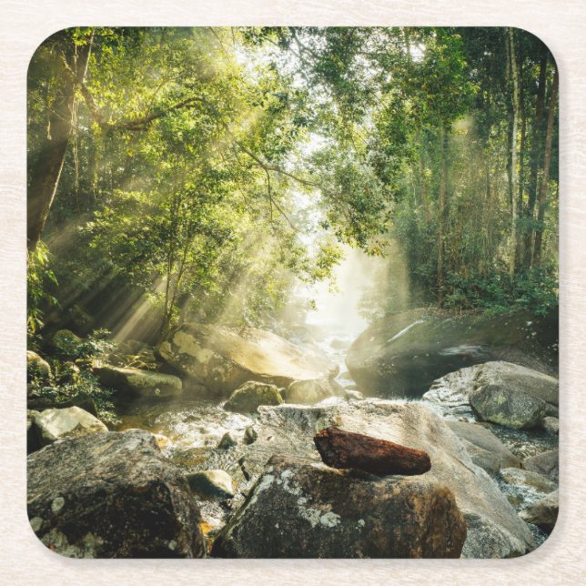 Forests | Tropical Jungle Forest Square Paper Coaster (Front)