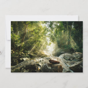 Forests Tropical Jungle Forest Thank You Card