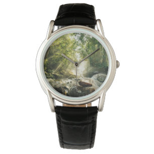 Forests   Tropical Jungle Forest Watch