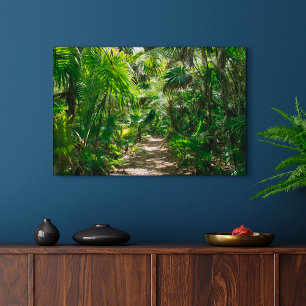 Forests Tropical Rainforest Tulum Mexico Canvas Print