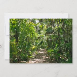 Forests Tropical Rainforest Tulum Mexico Thank You Card