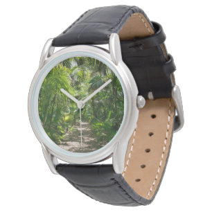 Forests   Tropical Rainforest Tulum Mexico Watch